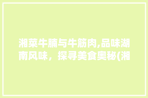 湘菜牛腩与牛筋肉,品味湖南风味，探寻美食奥秘(湘菜牛腩和牛筋肉) 湘菜牛腩与牛筋肉,品味湖南风味，探寻美食奥秘(湘菜牛腩和牛筋肉) 饮食拾萃