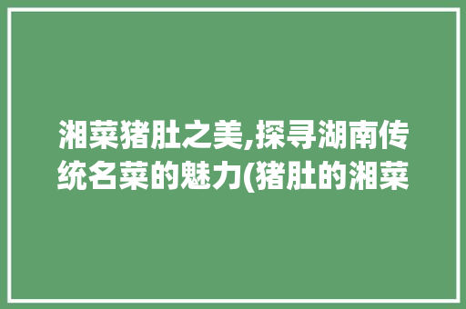 湘菜猪肚之美,探寻湖南传统名菜的魅力(猪肚的湘菜名有哪些) 湘菜猪肚之美,探寻湖南传统名菜的魅力(猪肚的湘菜名有哪些) 饮食拾萃