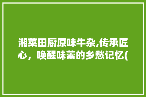 湘菜田厨原味牛杂,传承匠心，唤醒味蕾的乡愁记忆(湘菜田厨原味牛杂) 湘菜田厨原味牛杂,传承匠心，唤醒味蕾的乡愁记忆(湘菜田厨原味牛杂) 饮食拾萃