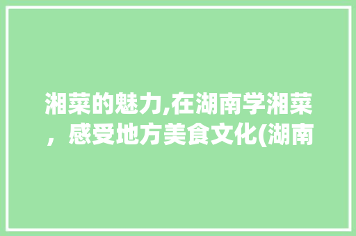 湘菜的魅力,在湖南学湘菜，感受地方美食文化(湖南可以学湘菜吗现在) 湘菜的魅力,在湖南学湘菜，感受地方美食文化(湖南可以学湘菜吗现在) 饮食拾萃