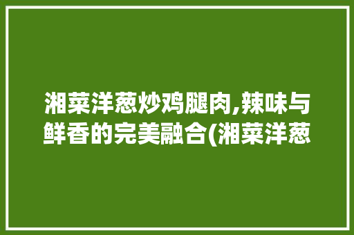湘菜洋葱炒鸡腿肉,辣味与鲜香的完美融合(湘菜洋葱炒鸡腿肉) 湘菜洋葱炒鸡腿肉,辣味与鲜香的完美融合(湘菜洋葱炒鸡腿肉) 饮食拾萃