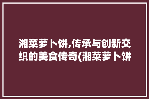湘菜萝卜饼,传承与创新交织的美食传奇(湘菜萝卜饼做法大全图片) 湘菜萝卜饼,传承与创新交织的美食传奇(湘菜萝卜饼做法大全图片) 饮食拾萃