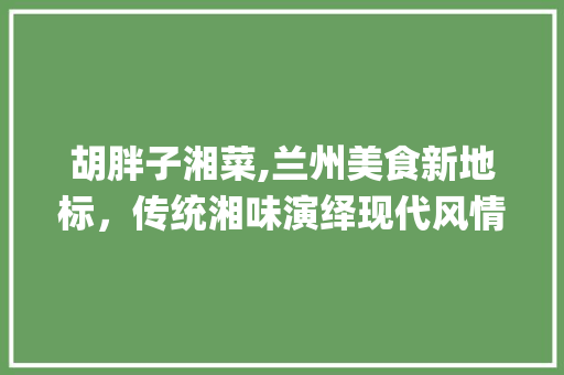 胡胖子湘菜,兰州美食新地标，传统湘味演绎现代风情(胡胖子湘菜在兰州哪里) 胡胖子湘菜,兰州美食新地标，传统湘味演绎现代风情(胡胖子湘菜在兰州哪里) 饮食拾萃