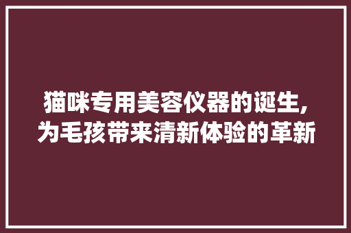 猫咪专用美容仪器的诞生,为毛孩带来清新体验的革新科技_猫咪专用美容仪器图片 猫咪专用美容仪器的诞生,为毛孩带来清新体验的革新科技_猫咪专用美容仪器图片 服饰装扮