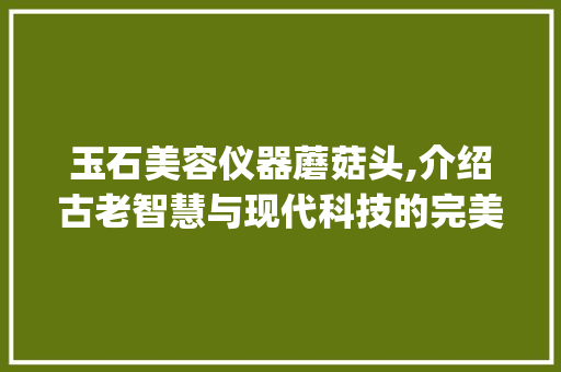 玉石美容仪器蘑菇头,介绍古老智慧与现代科技的完美融合_玉石美容仪器蘑菇头 玉石美容仪器蘑菇头,介绍古老智慧与现代科技的完美融合_玉石美容仪器蘑菇头 饮食拾萃
