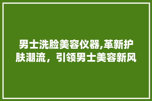 男士洗脸美容仪器,革新护肤潮流，引领男士美容新风尚_男士洗脸美容仪器工厂 男士洗脸美容仪器,革新护肤潮流，引领男士美容新风尚_男士洗脸美容仪器工厂 家居时尚