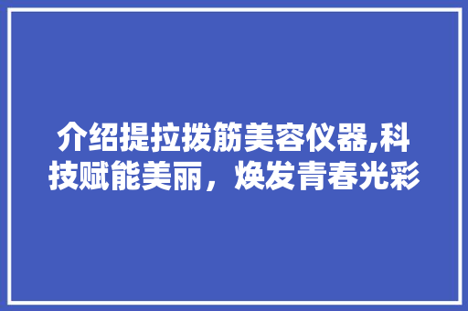介绍提拉拨筋美容仪器,科技赋能美丽，焕发青春光彩 介绍提拉拨筋美容仪器,科技赋能美丽，焕发青春光彩 动手制作