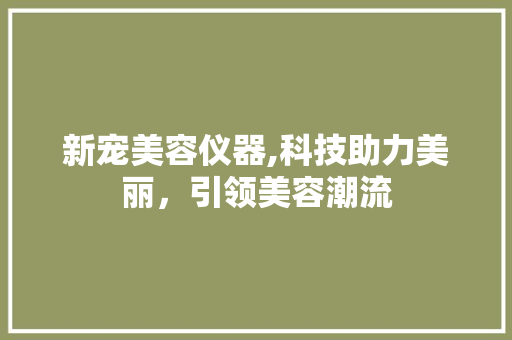 新宠美容仪器,科技助力美丽，引领美容潮流 新宠美容仪器,科技助力美丽，引领美容潮流 家居时尚