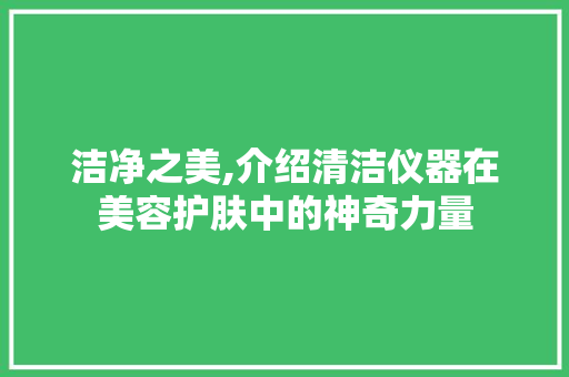 洁净之美,介绍清洁仪器在美容护肤中的神奇力量 洁净之美,介绍清洁仪器在美容护肤中的神奇力量 养生保健