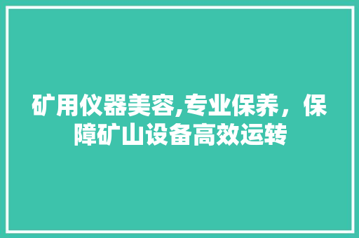 矿用仪器美容,专业保养，保障矿山设备高效运转 矿用仪器美容,专业保养，保障矿山设备高效运转 美容塑身