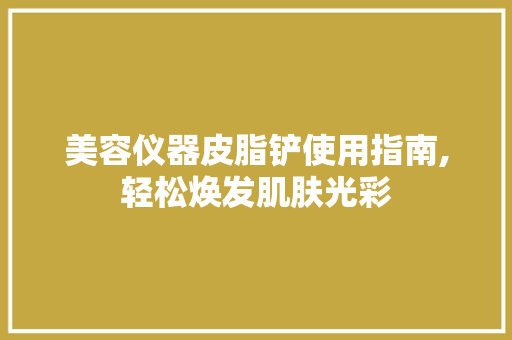 美容仪器皮脂铲使用指南,轻松焕发肌肤光彩 美容仪器皮脂铲使用指南,轻松焕发肌肤光彩 服饰装扮