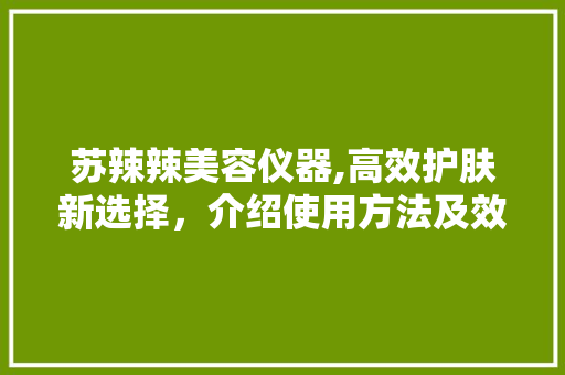 苏辣辣美容仪器,高效护肤新选择，介绍使用方法及效果 苏辣辣美容仪器,高效护肤新选择，介绍使用方法及效果 动手制作