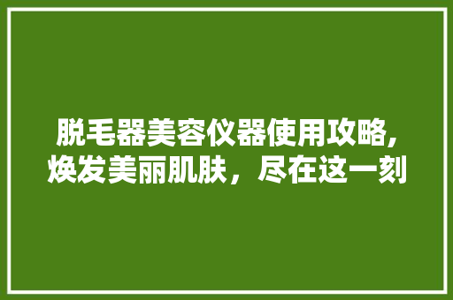 脱毛器美容仪器使用攻略,焕发美丽肌肤，尽在这一刻！ 脱毛器美容仪器使用攻略,焕发美丽肌肤，尽在这一刻！ 饮食拾萃