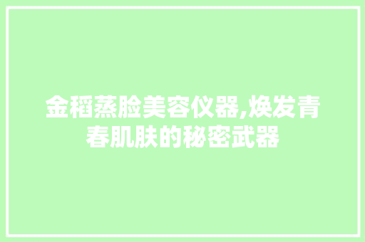 金稻蒸脸美容仪器,焕发青春肌肤的秘密武器 金稻蒸脸美容仪器,焕发青春肌肤的秘密武器 美容塑身