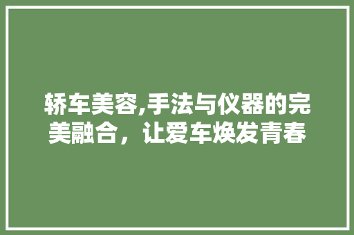 轿车美容,手法与仪器的完美融合，让爱车焕发青春 轿车美容,手法与仪器的完美融合，让爱车焕发青春 养生保健