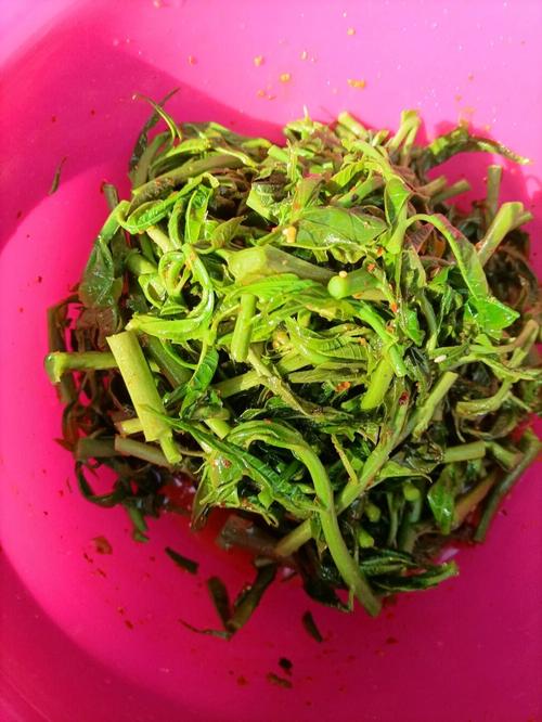 湘菜凉拌春芽,春季清新之选，凉拌春芽制作攻略详解(湘菜凉拌春芽做法视频) 湘菜凉拌春芽,春季清新之选，凉拌春芽制作攻略详解(湘菜凉拌春芽做法视频) 饮食拾萃