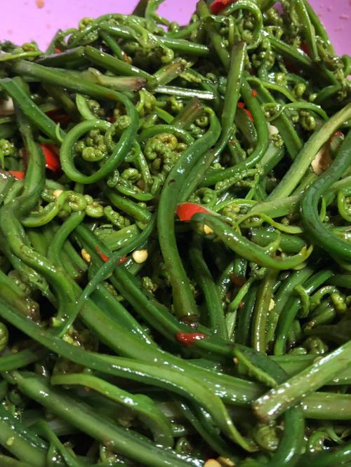 湘菜蕨菜凉拌,舌尖上的山野风情(湘菜蕨菜凉拌怎么做) 湘菜蕨菜凉拌,舌尖上的山野风情(湘菜蕨菜凉拌怎么做) 饮食拾萃