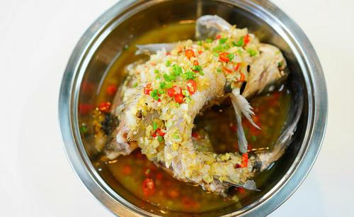 湘菜跳水鱼的鲜美方法_介绍湘菜跳水鱼所选用之鱼种(湘菜跳水鱼用什么鱼) 湘菜跳水鱼的鲜美方法_介绍湘菜跳水鱼所选用之鱼种(湘菜跳水鱼用什么鱼) 饮食拾萃
