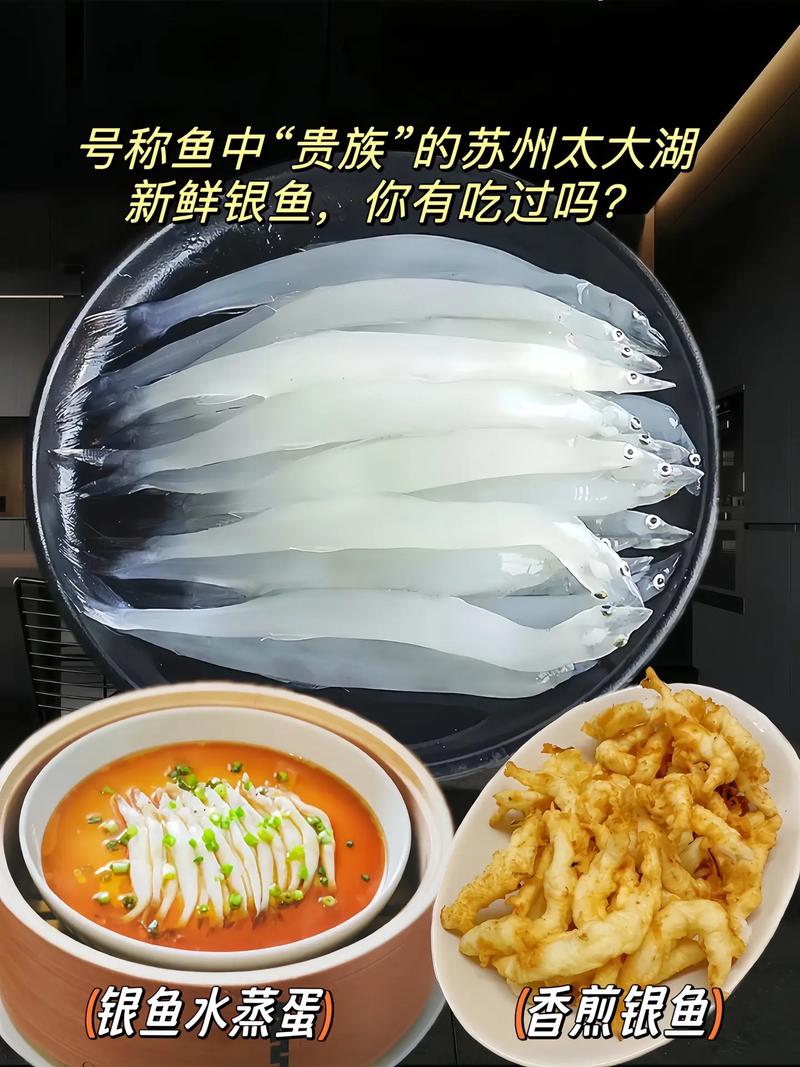 湘菜银枪鱼的鲜美诱惑,传统湘味的创新演绎(湘菜银枪鱼做法步骤) 湘菜银枪鱼的鲜美诱惑,传统湘味的创新演绎(湘菜银枪鱼做法步骤) 饮食拾萃