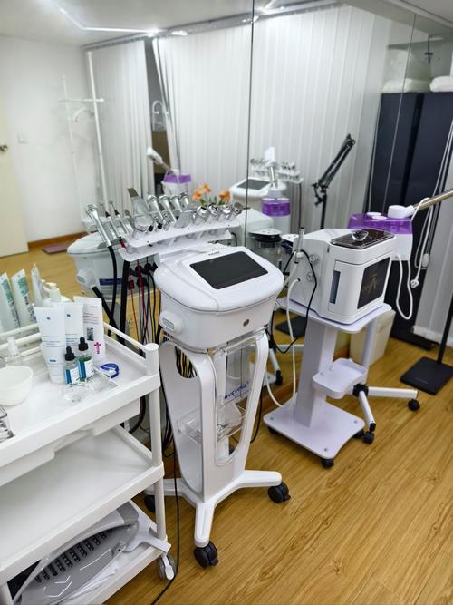 美容院仪器在皮肤病治疗中的应用与优势 美容院仪器在皮肤病治疗中的应用与优势 家居时尚