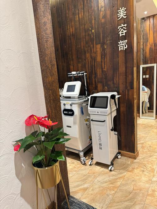 西安减肥美容仪器店,美丽蜕变，从选择专业仪器开始 西安减肥美容仪器店,美丽蜕变，从选择专业仪器开始 家居时尚